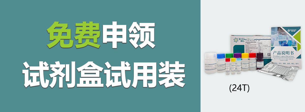 輪播圖